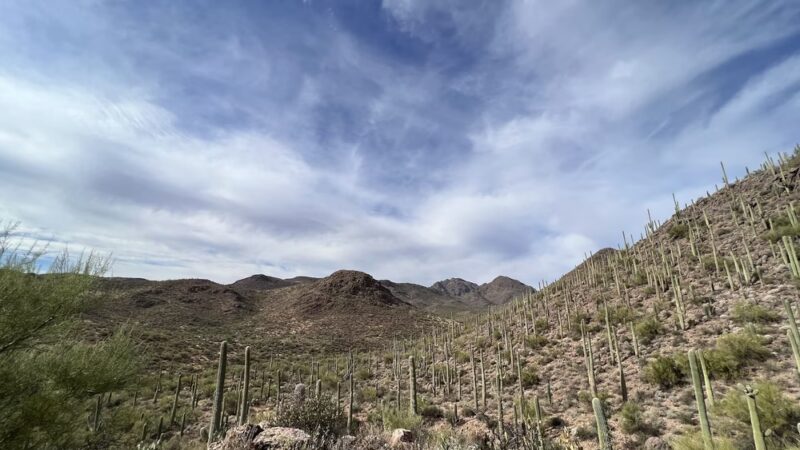 Hidden Canyon Trail - Tucson, AZ