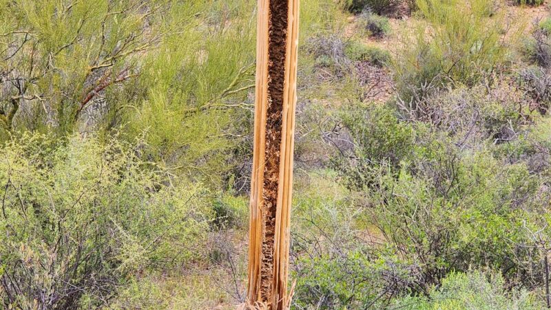 Hidden Canyon Trail - Tucson, AZ