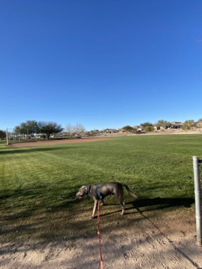 Sycamore Park Community (Private Park) - Tucson, AZ
