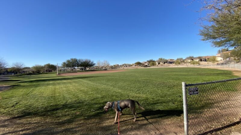 Sycamore Park Community (Private Park) - Tucson, AZ