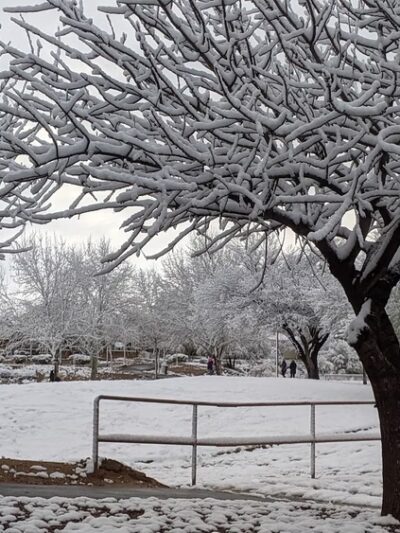 Sycamore Park Community (Private Park) - Tucson, AZ