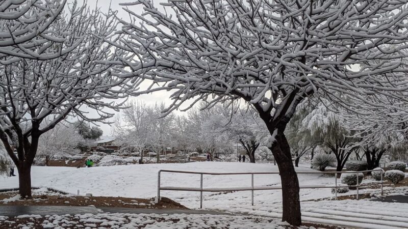Sycamore Park Community (Private Park) - Tucson, AZ