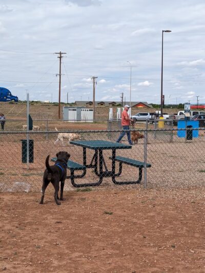 Dog Park at Love's Travel Stops - Tucumcari, NM