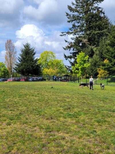 Crestview Park - Tukwila, WA