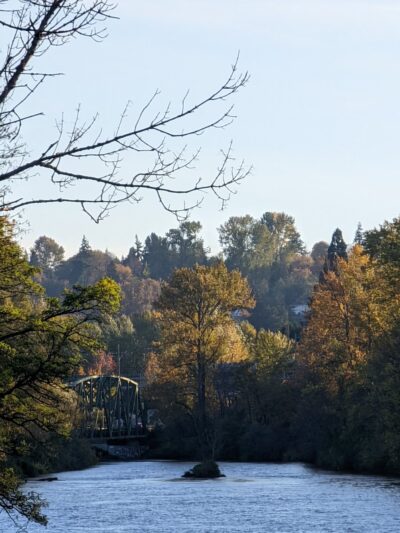 Duwamish Park - Tukwila, WA