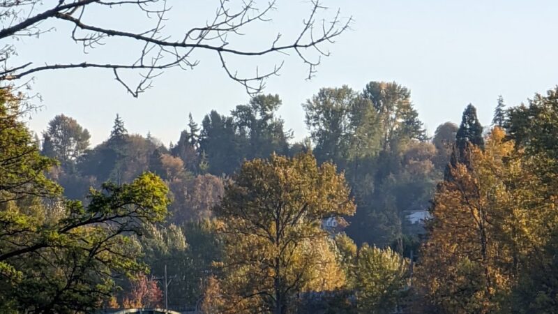 Duwamish Park - Tukwila, WA