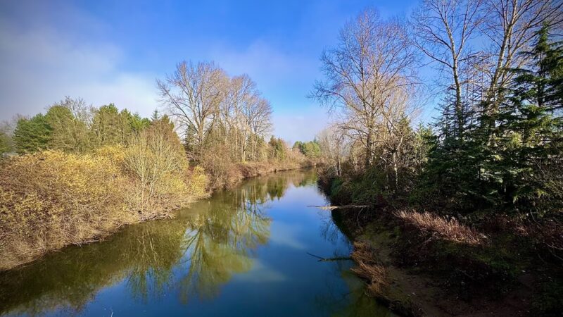Green River Trail - Tukwila, WA