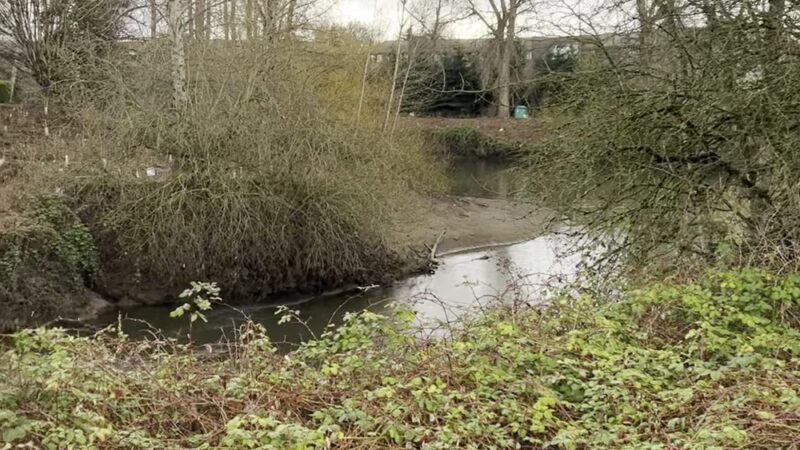 Green River Trail - Tukwila, WA
