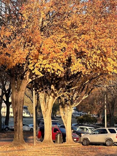 Green River Trail - Tukwila, WA