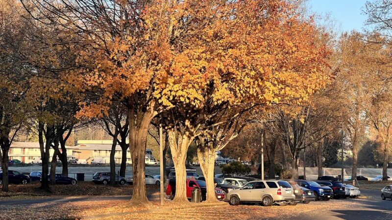 Green River Trail - Tukwila, WA