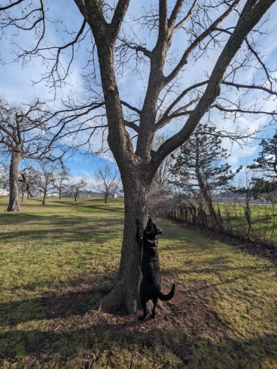 Howard Park - Tulsa, OK