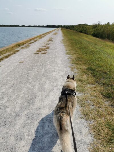 A. B. Jewell Walking Trail - Tulsa, OK