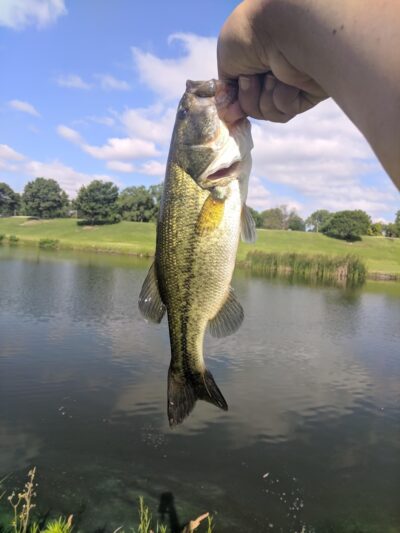 Carol Williams Pond - Tulsa, OK