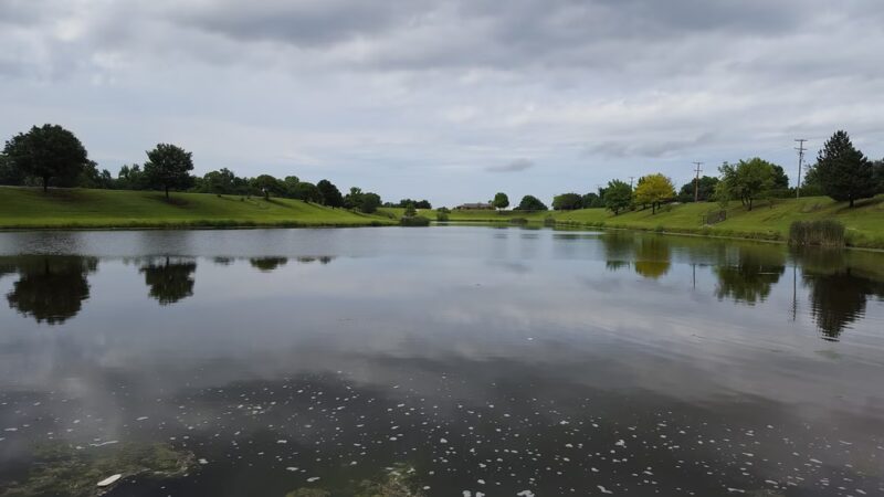 Carol Williams Pond - Tulsa, OK