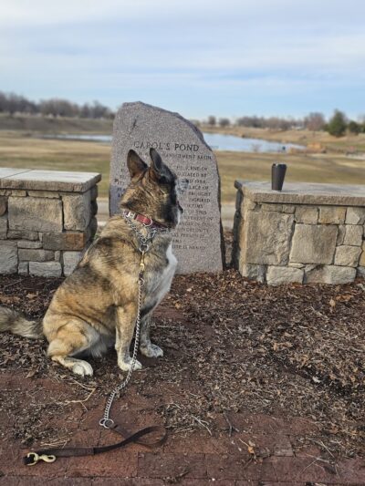 Carol Williams Pond - Tulsa, OK