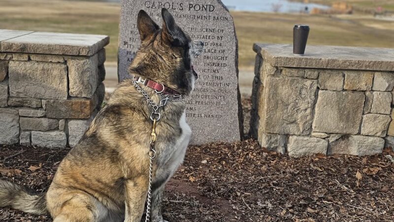 Carol Williams Pond - Tulsa, OK