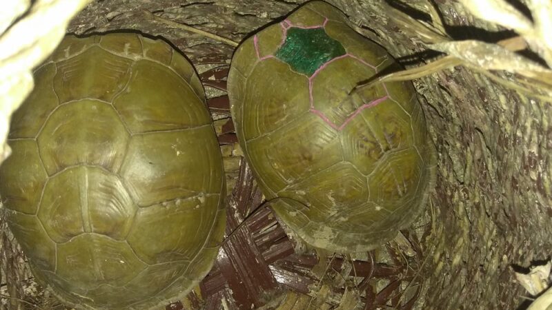 Sequoyah Park - Tulsa, OK