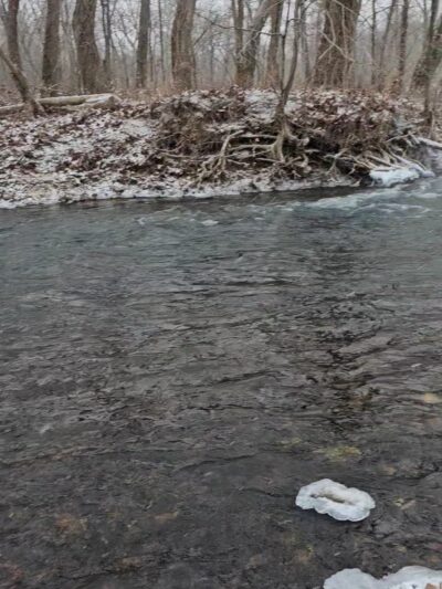 Lead Mine Conservation Area - Tunas, MO