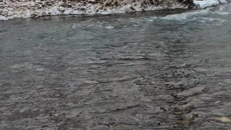 Lead Mine Conservation Area - Tunas, MO