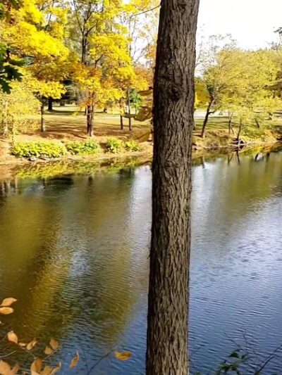 Rustic Creek Family Campground - Tunkhannock, PA