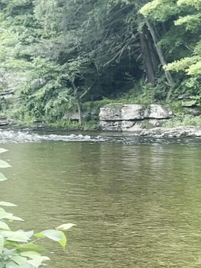 Seneca Trail County Park - Tunkhannock, PA