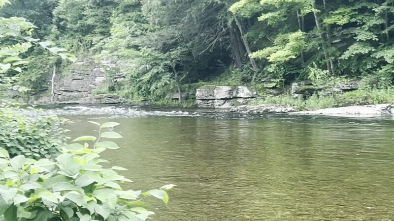 Seneca Trail County Park - Tunkhannock, PA