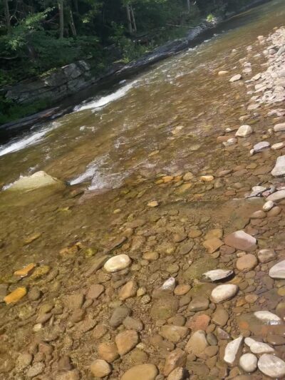 Seneca Trail County Park - Tunkhannock, PA