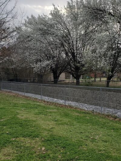 Bristow Park - Tupelo, MS