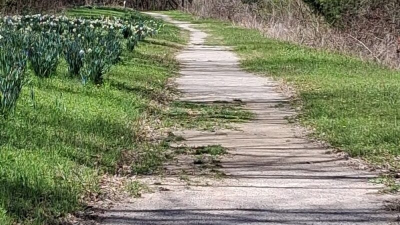 Music Bend Nature Trail - Tupelo, MS