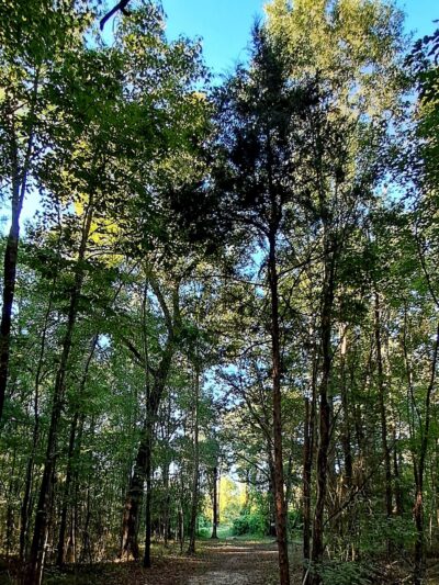 Music Bend Nature Trail - Tupelo, MS