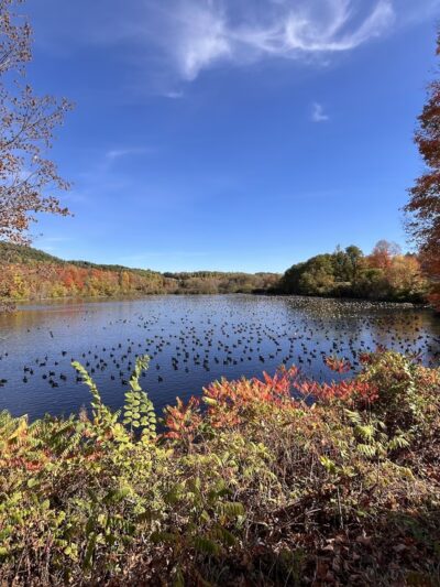 Mt. Arab Trailhead & Parking - Tupper Lake, NY