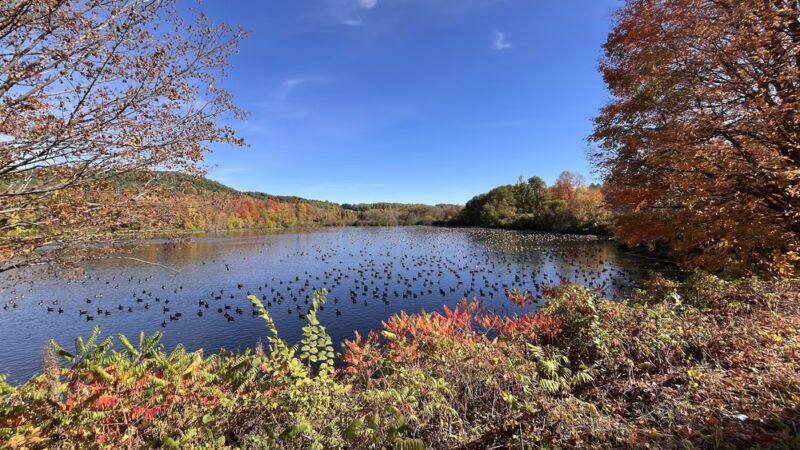 Mt. Arab Trailhead & Parking - Tupper Lake, NY