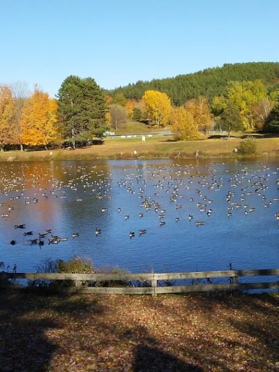 Mt. Arab Trailhead & Parking - Tupper Lake, NY