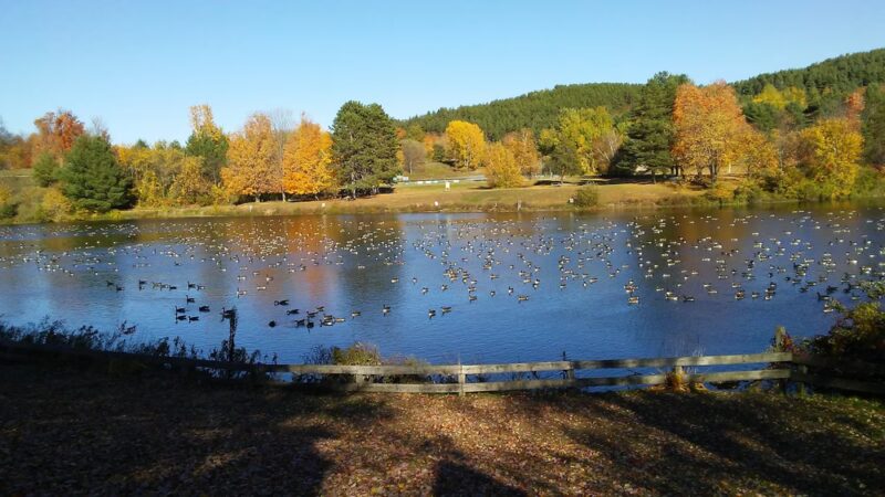 Mt. Arab Trailhead & Parking - Tupper Lake, NY
