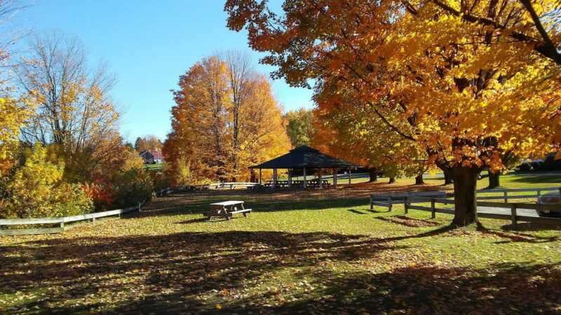 Mt. Arab Trailhead & Parking - Tupper Lake, NY