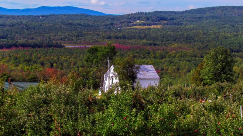 Ricker Hill Orchards - Turner, ME