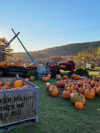 Ricker Hill Orchards - Turner, ME