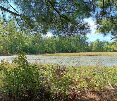 Skinaway Park - Turtle Lake, WI