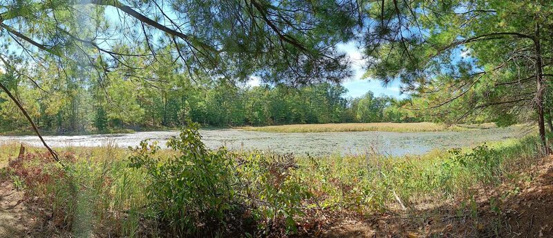 Skinaway Park - Turtle Lake, WI