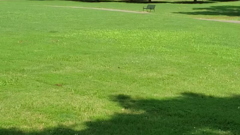 Annette N. Shelby Park - Tuscaloosa, AL