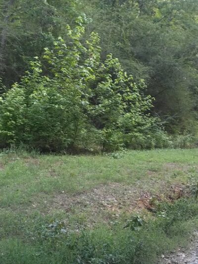 Munny Sokol Trail Head Parking Lot - Tuscaloosa, AL