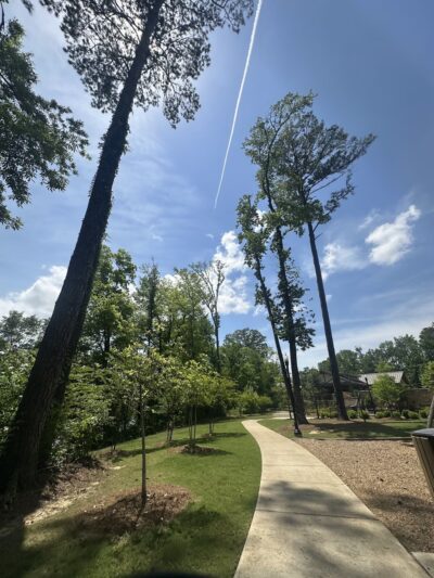 Randall Family Park & Trailhead - Tuscaloosa, AL