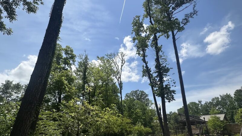 Randall Family Park & Trailhead - Tuscaloosa, AL