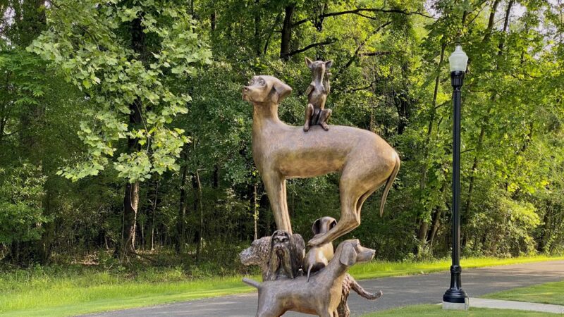 Randall Family Park & Trailhead - Tuscaloosa, AL
