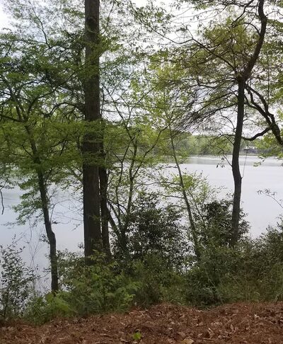 Robert Cardinal Park - Tuscaloosa, AL