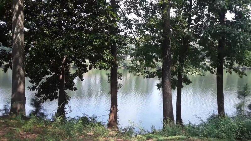 Tuscaloosa River Walk - Tuscaloosa, AL