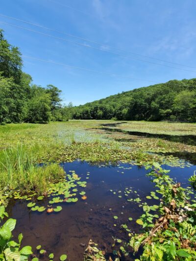 Sterling Lake Loop - Tuxedo Park, NY