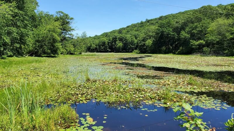 Sterling Lake Loop - Tuxedo Park, NY