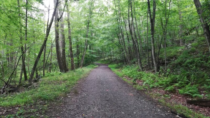 Sterling Lake Loop - Tuxedo Park, NY