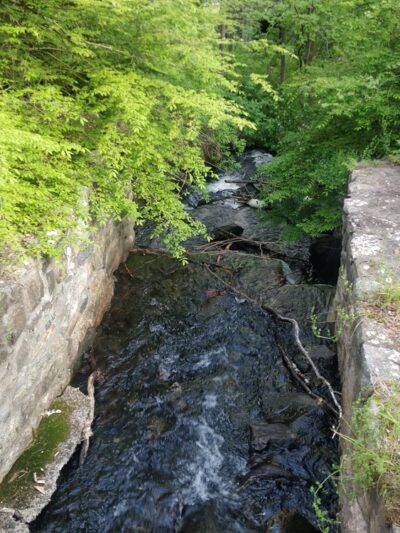 Sterling Loop Trail Head - Tuxedo Park, NY